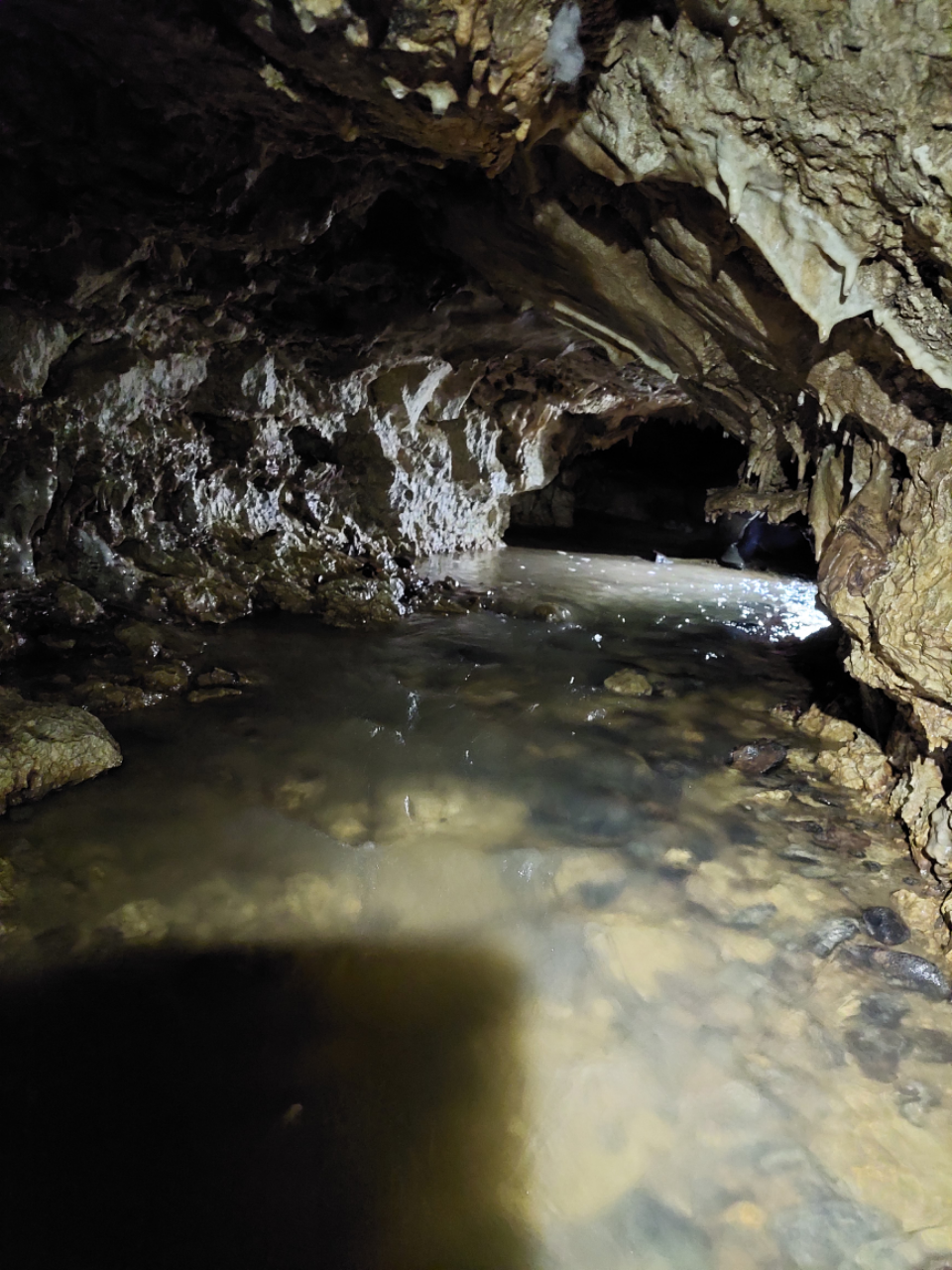 Peştera Poleva  - Image 2